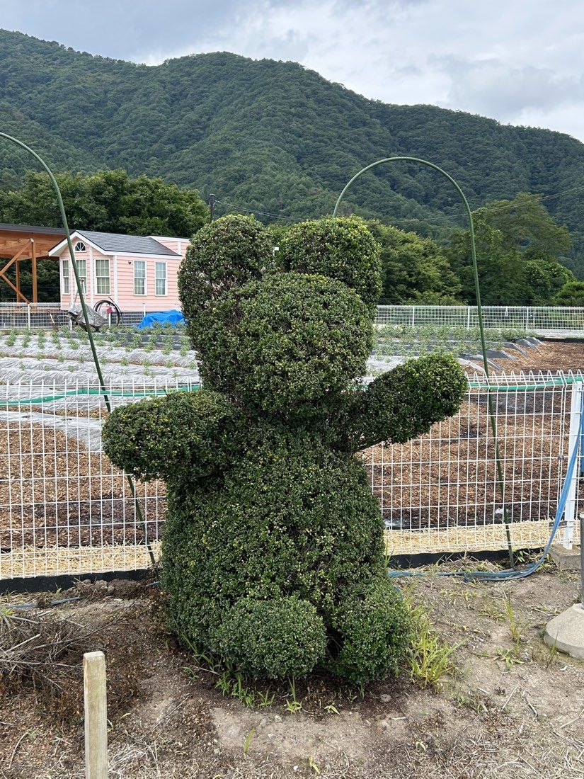 農園のシンボル・クマのトピアリー